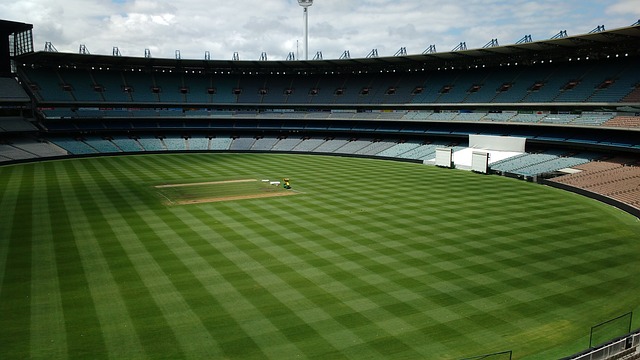 浙江双雄强势领跑联赛